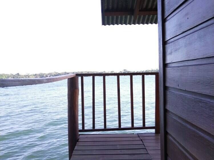 بانگلوی استاندارد, Catamaran