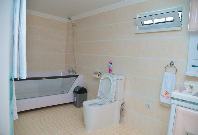 اتاق استاندارد, & Fitness Center Mandarin