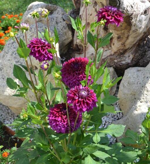 Четырехместный Номер Стандарт, Hôtel Formules Club 2