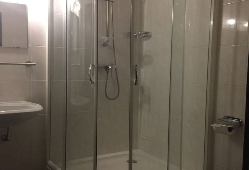 舒适型单人间, Zip Hotel Lingenfeld