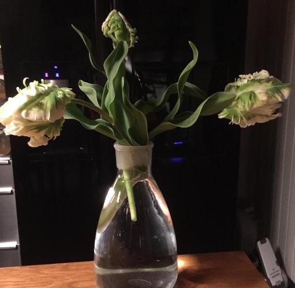 غرفة قياسية, Skylark Bed & Breakfast