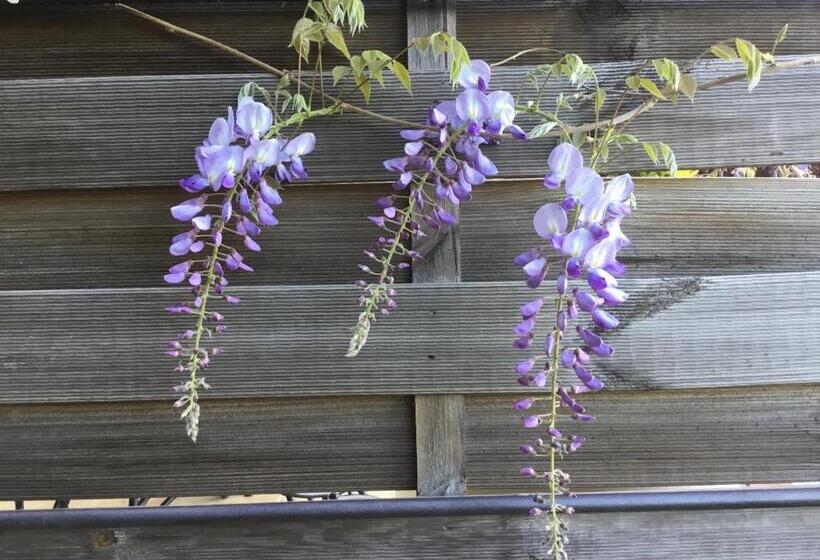 غرفة قياسية, Skylark Bed & Breakfast