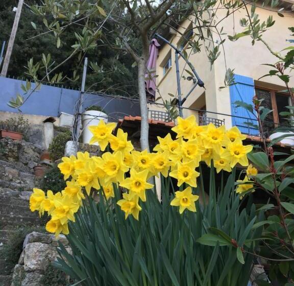 غرفة قياسية, Skylark Bed & Breakfast