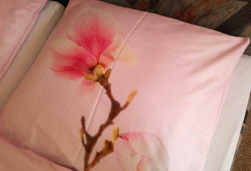 스탠다드 룸 공동 욕실, Tannhäuser B&b