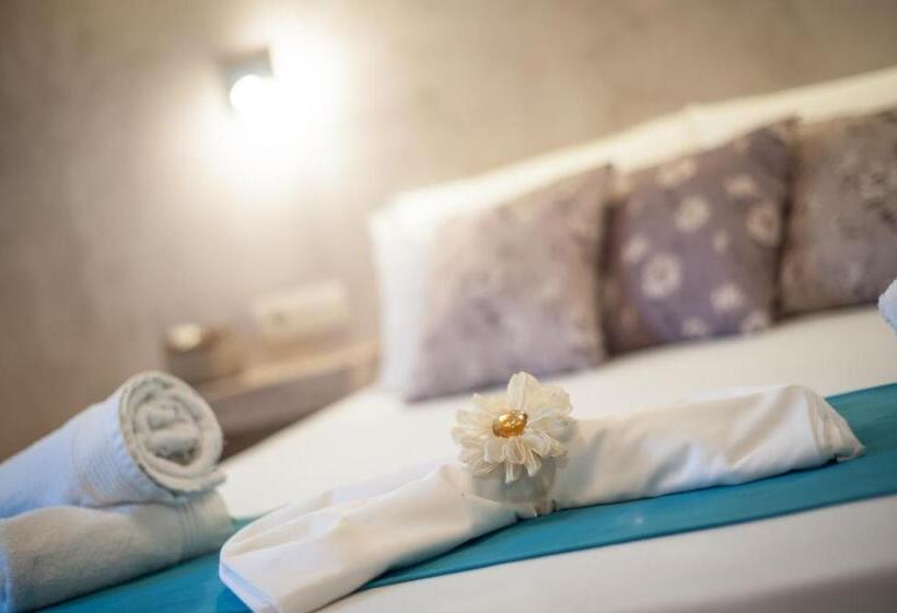 استودیوی استاندارد, Zante Nest Studios & Apartments