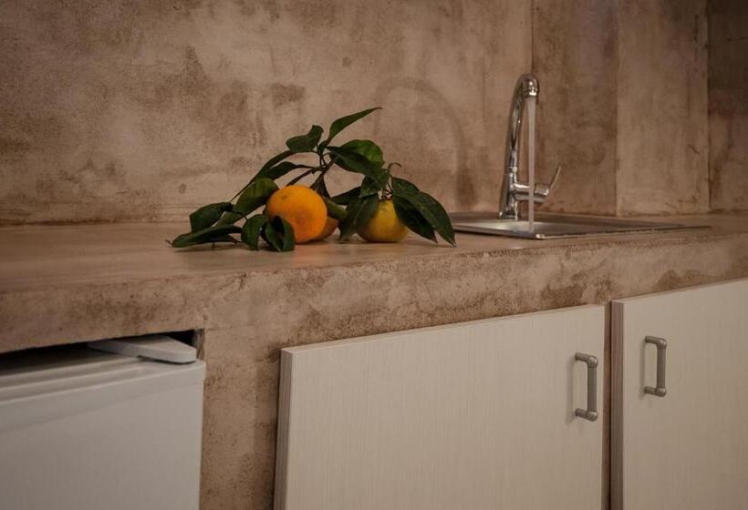 استودیوی استاندارد, Zante Nest Studios & Apartments