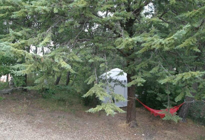 スタンダードルーム, Le Laou