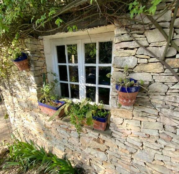 스탠다드 방갈로, Inn 4 Bears