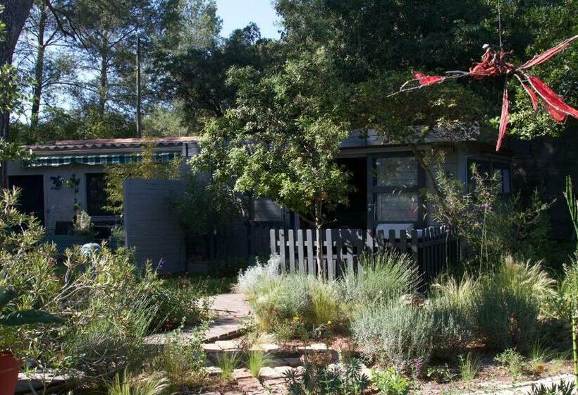 스탠다드 방갈로, Inn 4 Bears