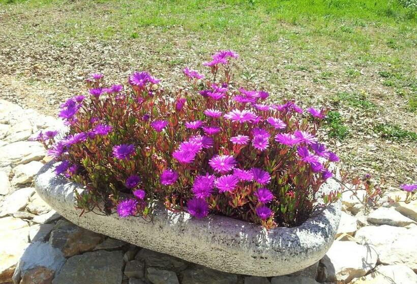 חדר סטנדרט, Le Donjon Des Combes Et Son Spa