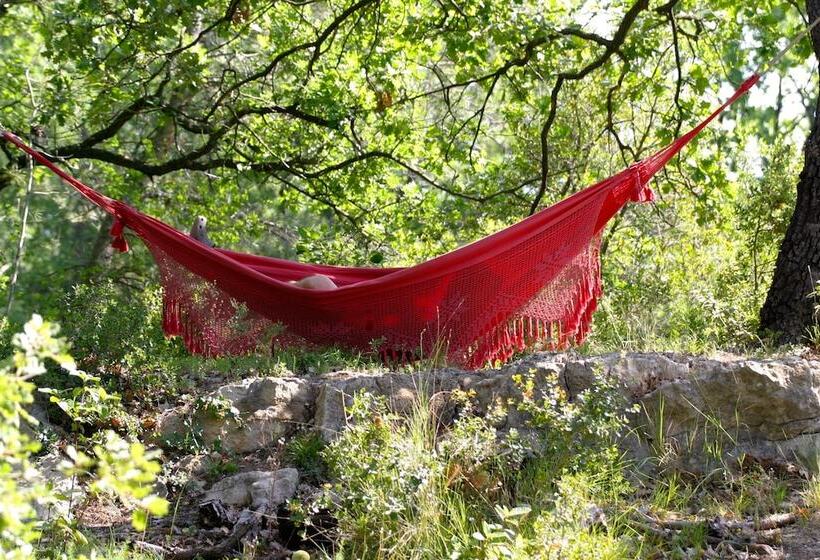 シャレー1寝室, Le Laou