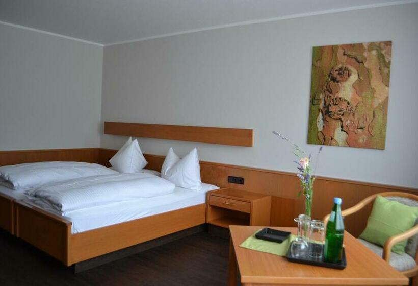 Номер Стандарт, Aparthotel Sprendlingen