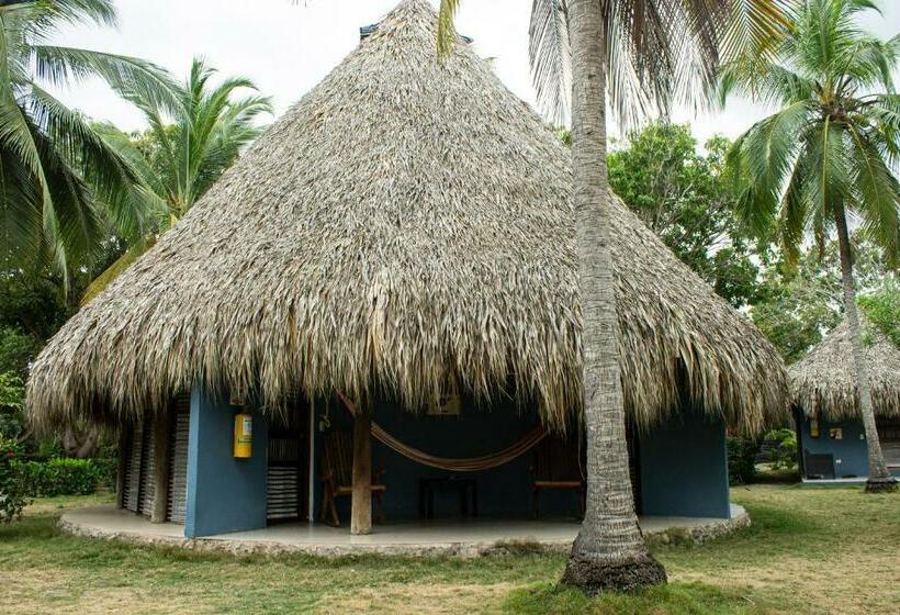 اتاق سوپریور خانوادگی, Hukumeizi