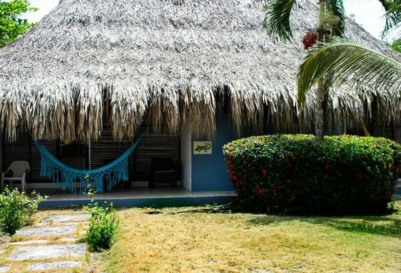 اتاق استاندارد سه نفره, Hukumeizi