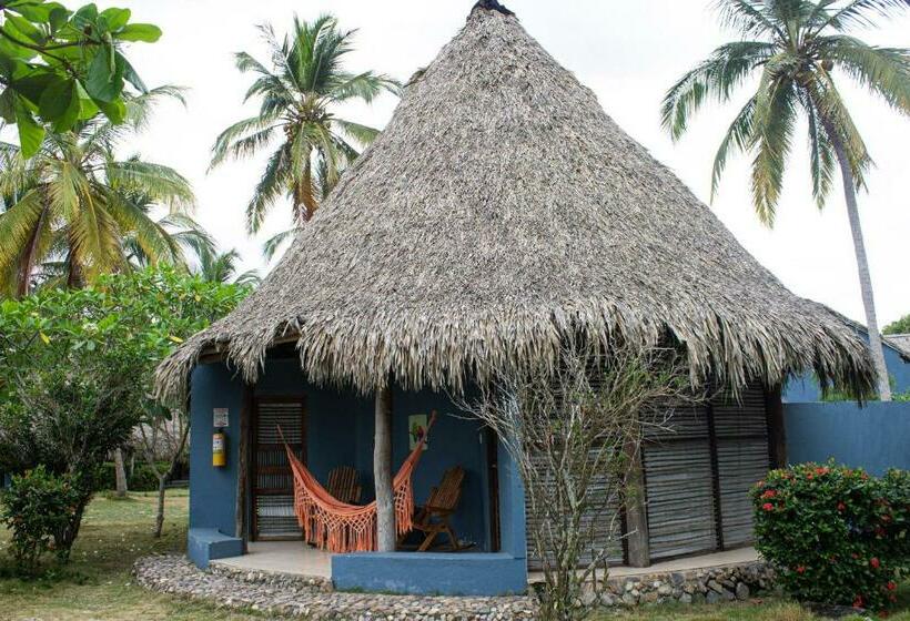 اتاق سوپریور خانوادگی, Hukumeizi