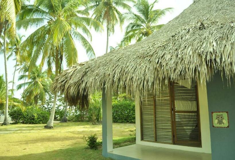 اتاق استاندارد سه نفره, Hukumeizi