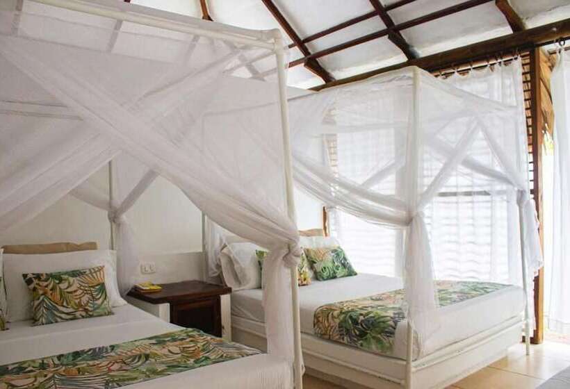 اتاق استاندارد, Hukumeizi