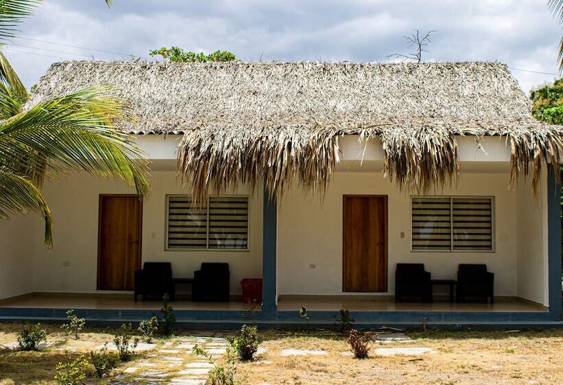 اتاق لوکس, Hukumeizi