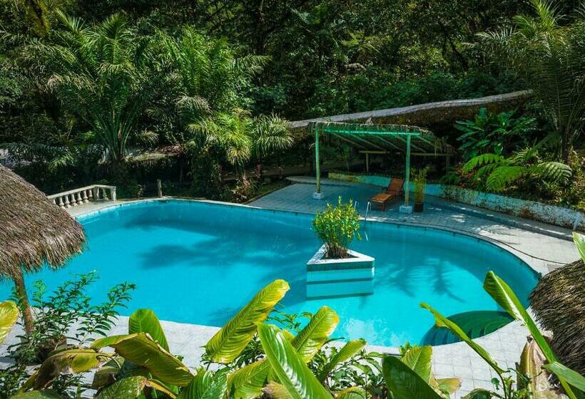 Номер Superior, El Septimo Paraiso