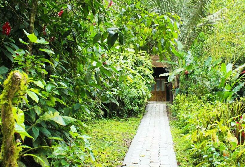 Люкс, El Septimo Paraiso