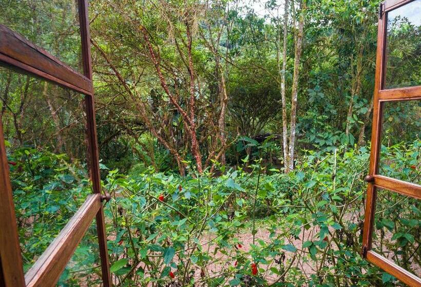 Номер Стандарт, El Septimo Paraiso