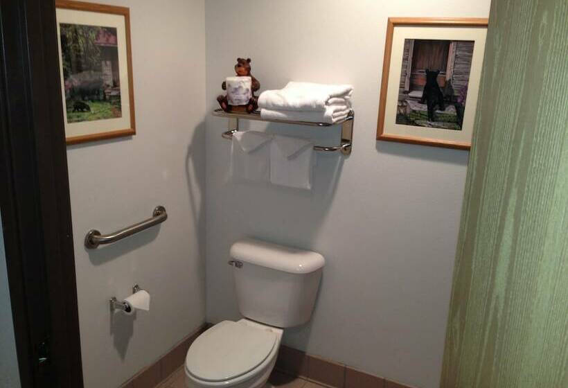 Номер Deluxe, Konkapot Lodge