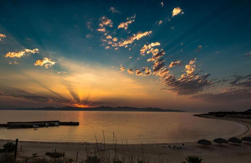 스탠다드 룸, Rancho Las Cruces