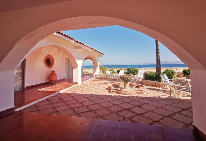 스탠다드 룸 킹사이즈 침대, Rancho Las Cruces