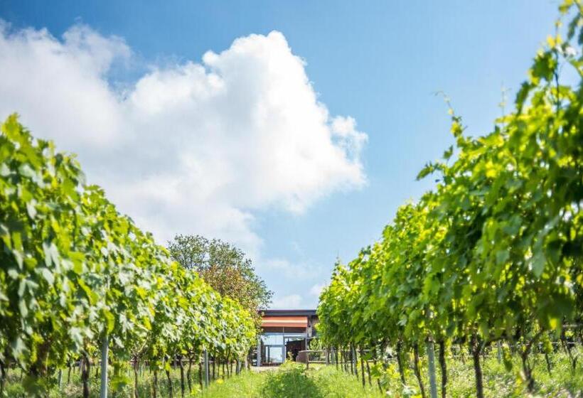 جناح, Valdonica Winery Fine Dine & Wine