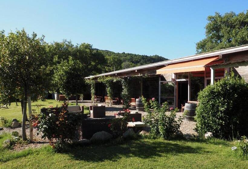 スタンダードインサイドビュールーム, Valdonica Winery Fine Dine & Wine
