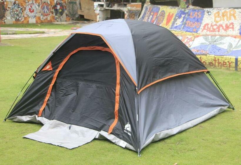 Standard Tent, Rocking J's