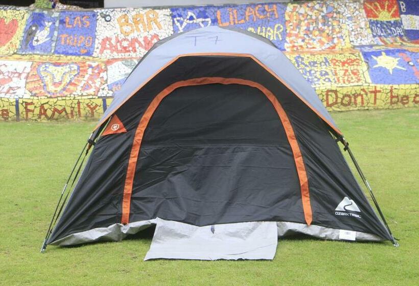 كوخ قياسي, Rocking J's