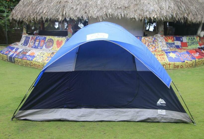 كوخ قياسي, Rocking J's