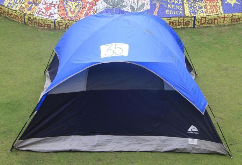 Standard Tent, Rocking J's