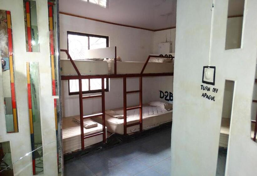 سرير فى غرفة مشتركه, Rocking J's