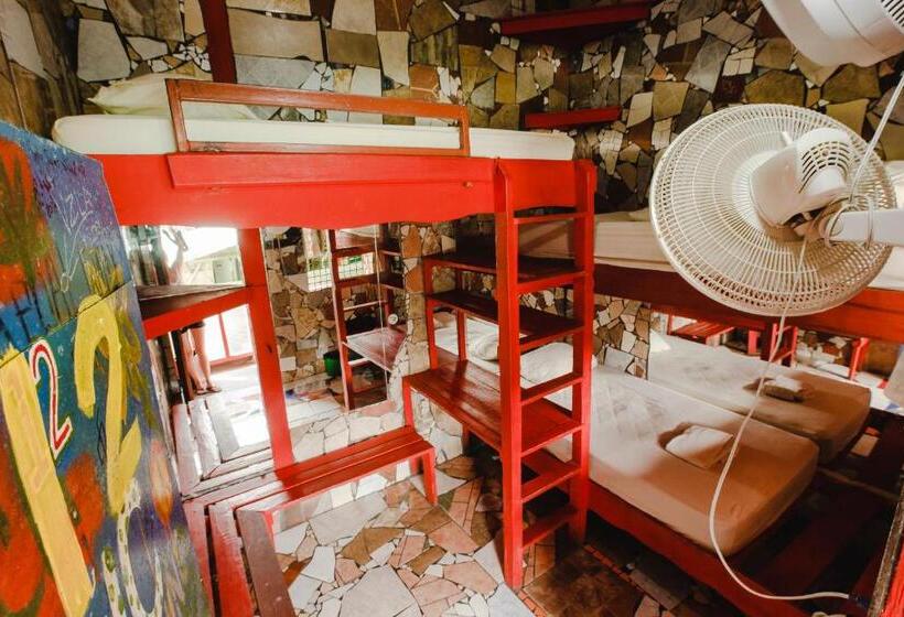 غرفة أساسية ثلاثية, Rocking J's