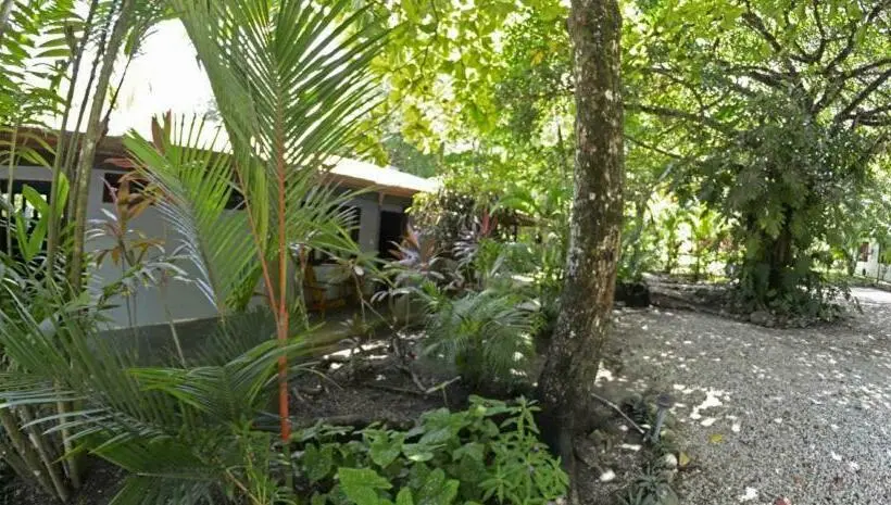 デラックスルーム, Indigo Yoga Surf Resort