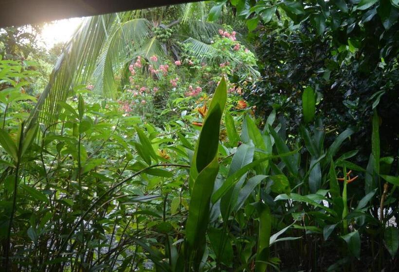 منزل 3 غرف نوم, Indigo Yoga Surf Resort