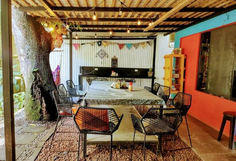 غرفة قياسية حمام مشترك, Casajungla Hostel