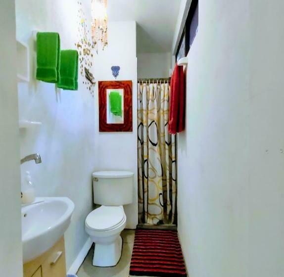 غرفة قياسية, Casajungla Hostel