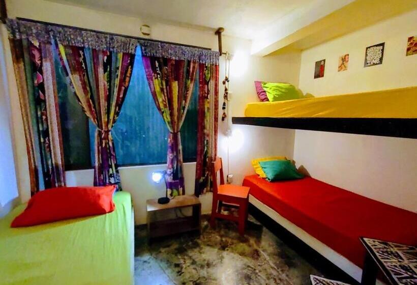 سرير فى غرفة مشتركه, Casajungla Hostel
