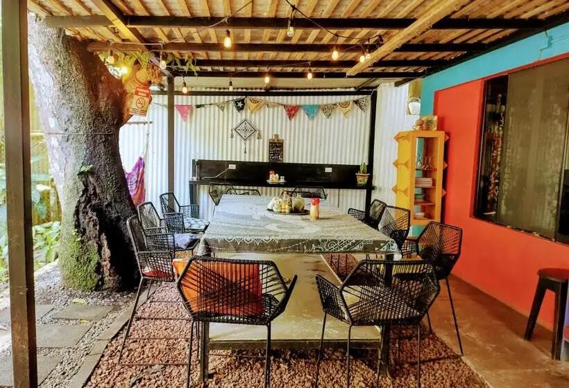 ルームシェアのワンベッド, Casajungla Hostel