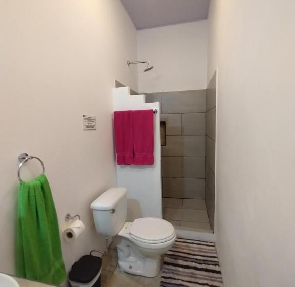 غرفة قياسية رباعية, Casajungla Hostel