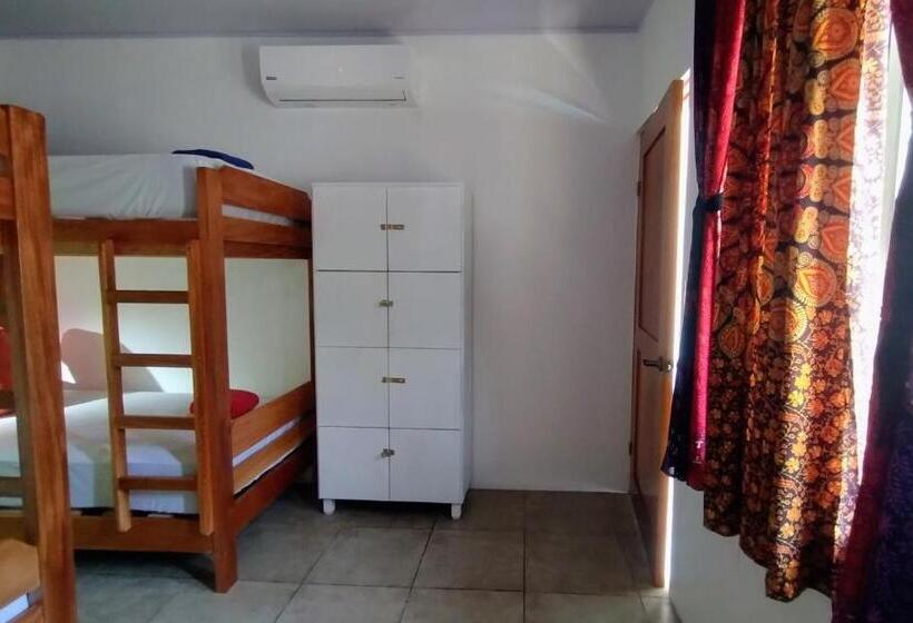 Quarto Quádruplo Standard, Casajungla Hostel