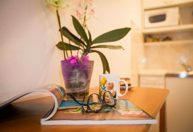 Студия Стандарт Вид на Море, Studio Apartment Andrijana