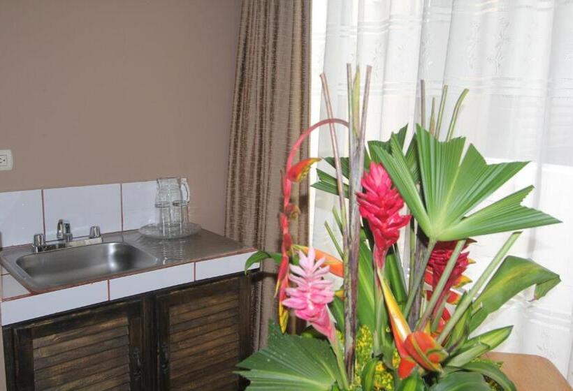 חדר קלאסי, Arenal By Regina