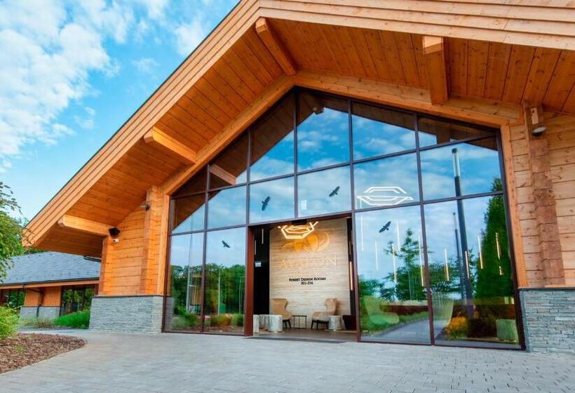 اتاق سوپریور, Avalon Resort & Spa