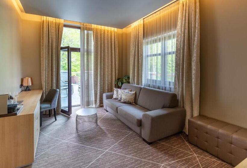 جناح جونيور مزوَّد بتراس, Avalon Resort & Spa