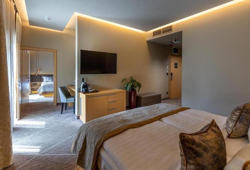 اتاق سوپریور خانوادگی, Avalon Resort & Spa