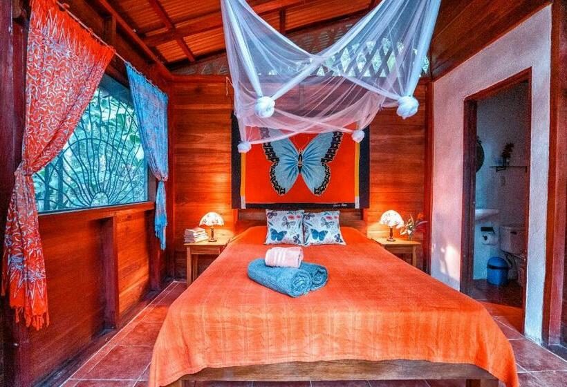 Бунгало Стандарт, Casitas Las Flores